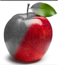 the giver apple
